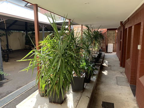 CROWN CENTRAL BUSINESS DISTRICT MOTEL - NO UNDER 18s - Accommodation NSW 6
