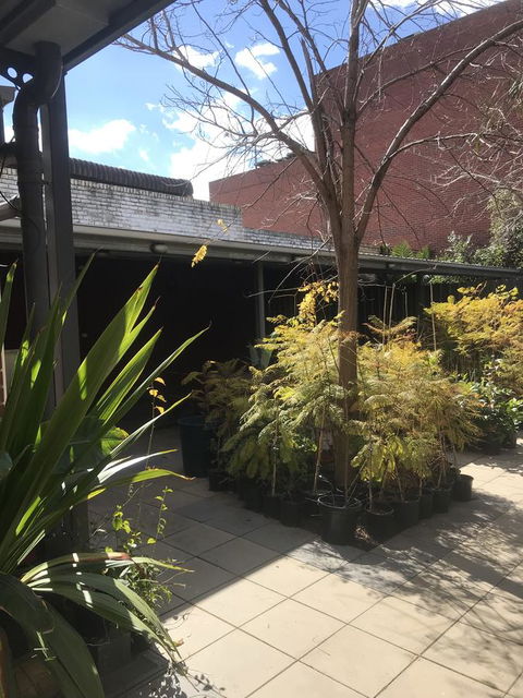 CROWN CENTRAL BUSINESS DISTRICT MOTEL - NO UNDER 18s - Accommodation NSW 21
