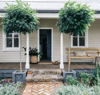 Acre of Roses - Accommodation NSW