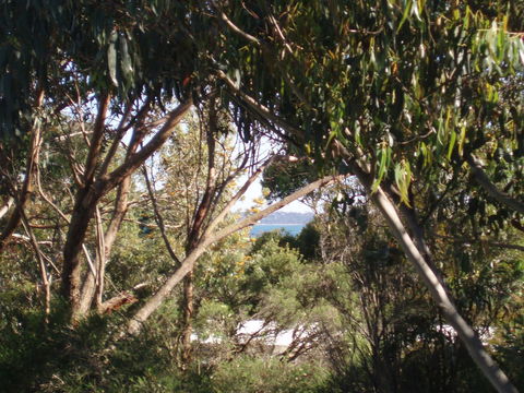 Aloha Ha Phillip Island - Accommodation NSW 24