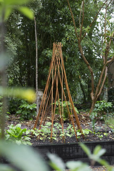 Botanica Editions - Accommodation NSW 23