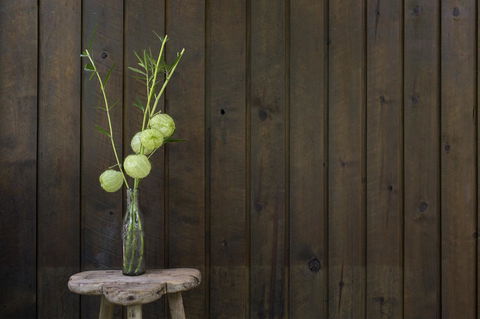 Botanica Editions - Accommodation NSW 10