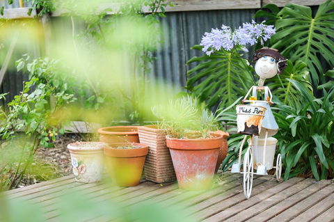 Miss Pym's Cottage - Accommodation NSW 7