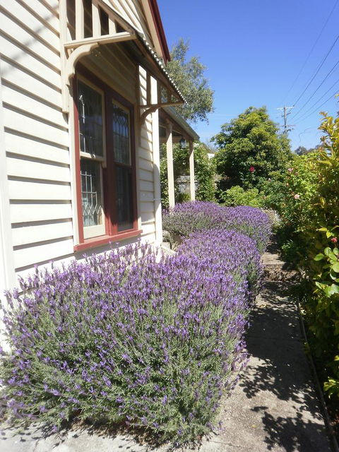 Miss Pym's Cottage - Accommodation NSW 44