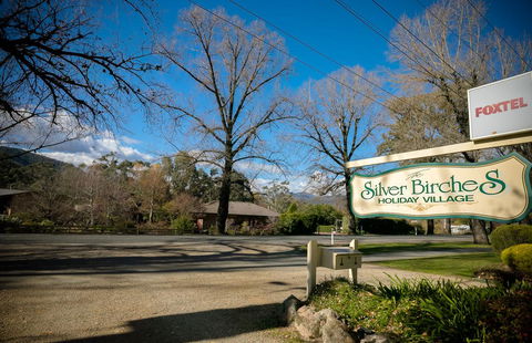 The Birch House - Silver Birches Luxury Accommodation Bright - Accommodation NSW 3