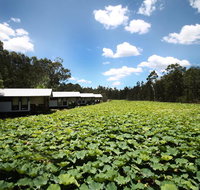 The Boathouses at Leaves  Fishes - Accommodation NSW