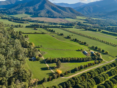 The Buckland Studios - Accommodation NSW 3
