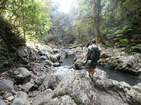 The Canungra Motel - Accommodation NSW 1