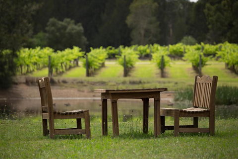 The Carriages Boutique Hotel And Vineyard - Accommodation NSW 2