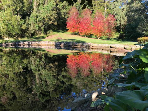 The Drawing Rooms Of Berry - Accommodation NSW 2