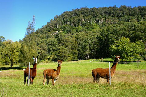 The Heavens Mountain Escape - Accommodation NSW 2