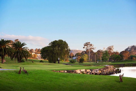 The Kooralbyn Valley - Accommodation NSW 1