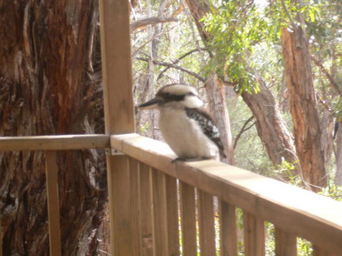 The Ledge Holiday House - Accommodation NSW 0