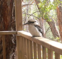 The Ledge Holiday House - Accommodation NSW