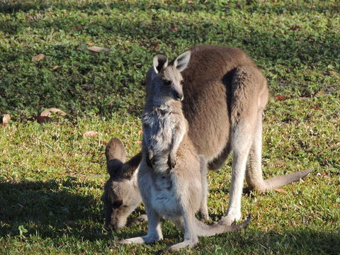 The Pouch B & B - Accommodation NSW 2