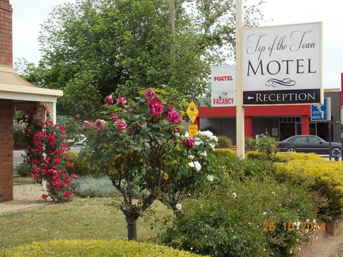Top Of The Town Motel - Accommodation NSW 3