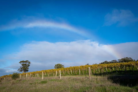 Triple Creek Guest House - Barossa Region - Accommodation NSW 2