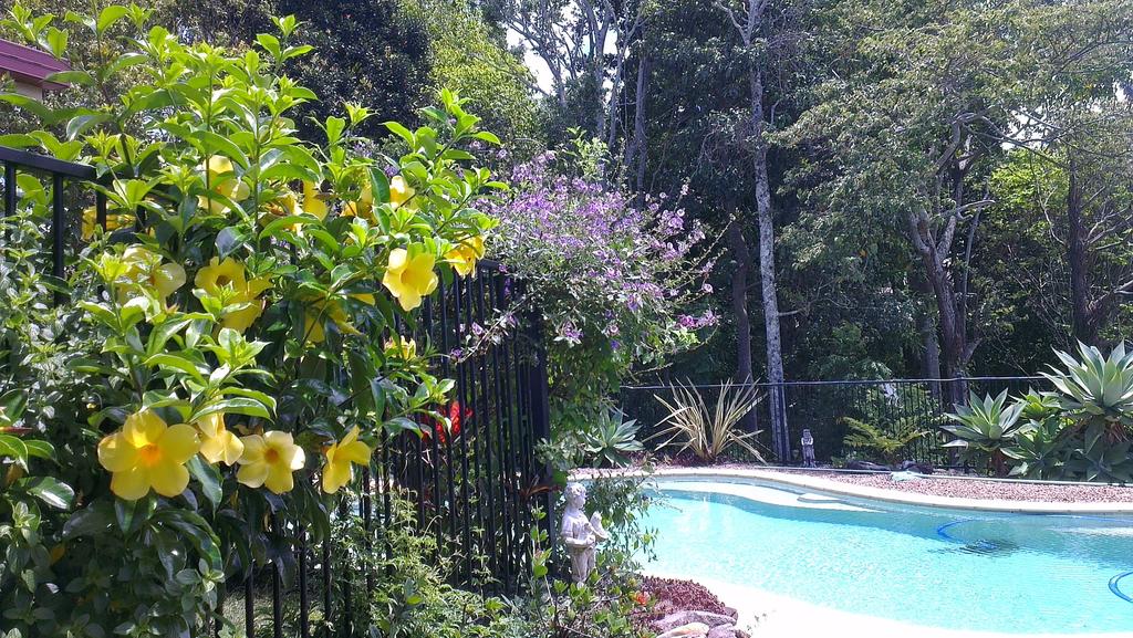 Duranbah NSW Accommodation NSW