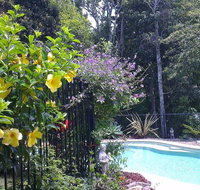 Tropical Coast Retreat - Pet Friendly - Accommodation NSW