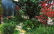 Twin Palms Castlemaine - thumb 1