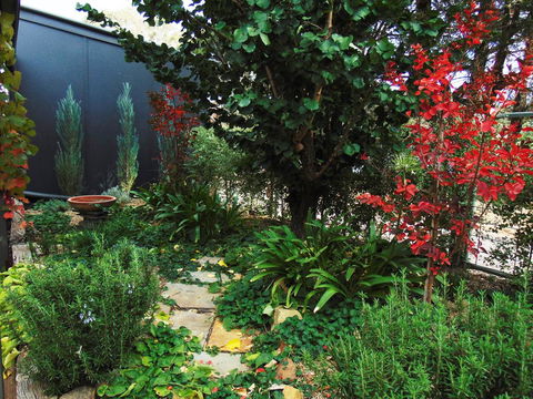 Twin Palms Castlemaine - Accommodation NSW 1