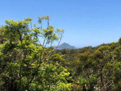 Ullora Road 38 - Accommodation NSW 2