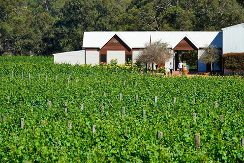 Upper Reach Spa Cottage - Accommodation NSW 0