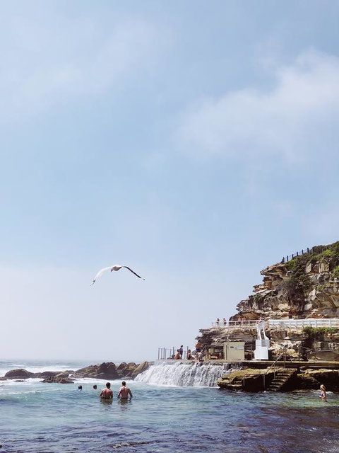 Walk To Beach From This Stylish Bronte Oasis W AC, Wifi And Free Parking - Accommodation NSW 3