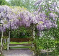 Amelina Cottages - Accommodation NSW