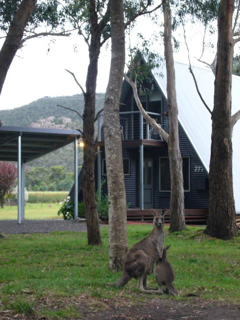 The A-Frame - Accommodation NSW 1