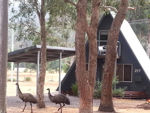 The A-Frame - Accommodation NSW 9