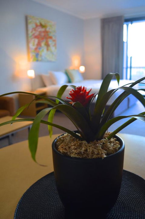 Mansfield Apartments - Accommodation NSW 21