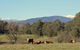 3 Bells Alpine Cottage - thumb 21