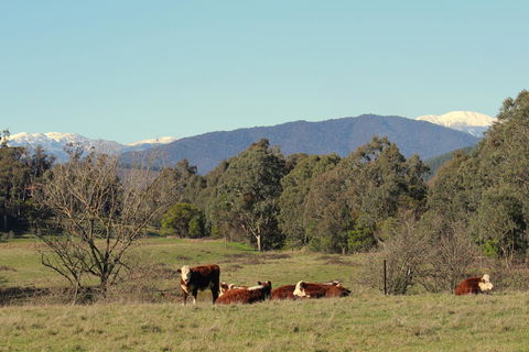 3 Bells Alpine Cottage - Accommodation NSW 21