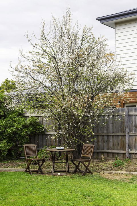 Bacchus Centro - Accommodation NSW 9