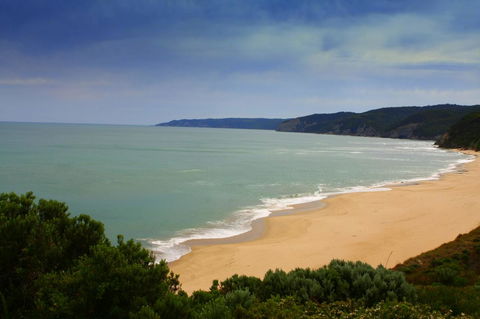 Johanna Seaside Cottages - Accommodation NSW 28