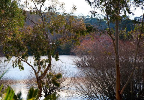 Lake Como Villa - Accommodation NSW 10