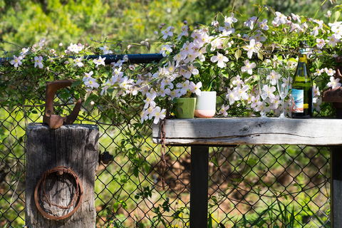 Cottage 4A - Accommodation NSW 4