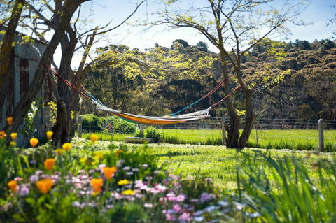 Cabrito - Accommodation NSW 3