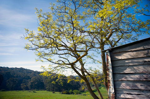 Cabrito - Accommodation NSW 9