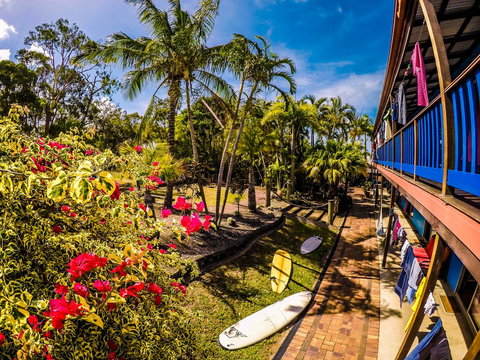 Cool Bananas Backpackers - Accommodation NSW 17