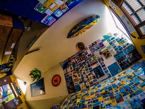 Cool Bananas Backpackers - Accommodation NSW 29