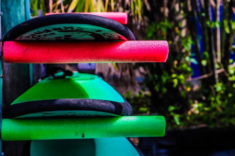 Cool Bananas Backpackers - Accommodation NSW 39