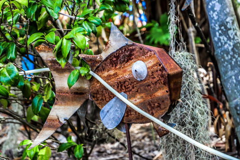 Cool Bananas Backpackers - Accommodation NSW 24