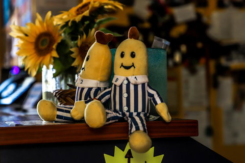 Cool Bananas Backpackers - Accommodation NSW 30