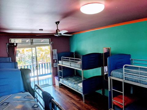 Cool Bananas Backpackers - Accommodation NSW 5