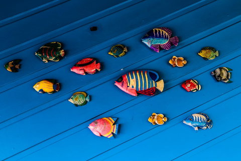 Cool Bananas Backpackers - Accommodation NSW 20