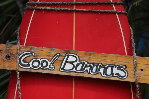 Cool Bananas Backpackers - Accommodation NSW 41