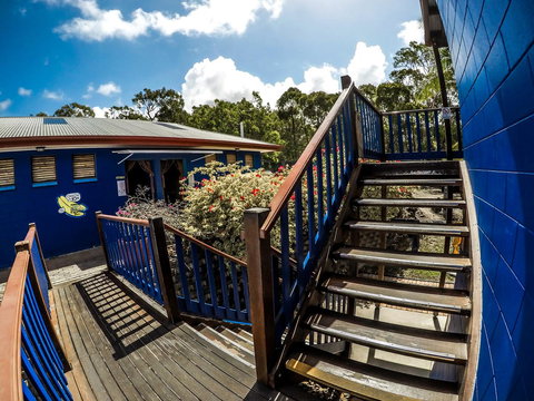 Cool Bananas Backpackers - Accommodation NSW 27