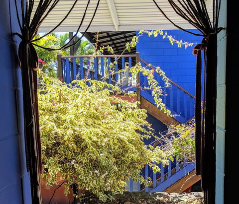 Cool Bananas Backpackers - Accommodation NSW 10